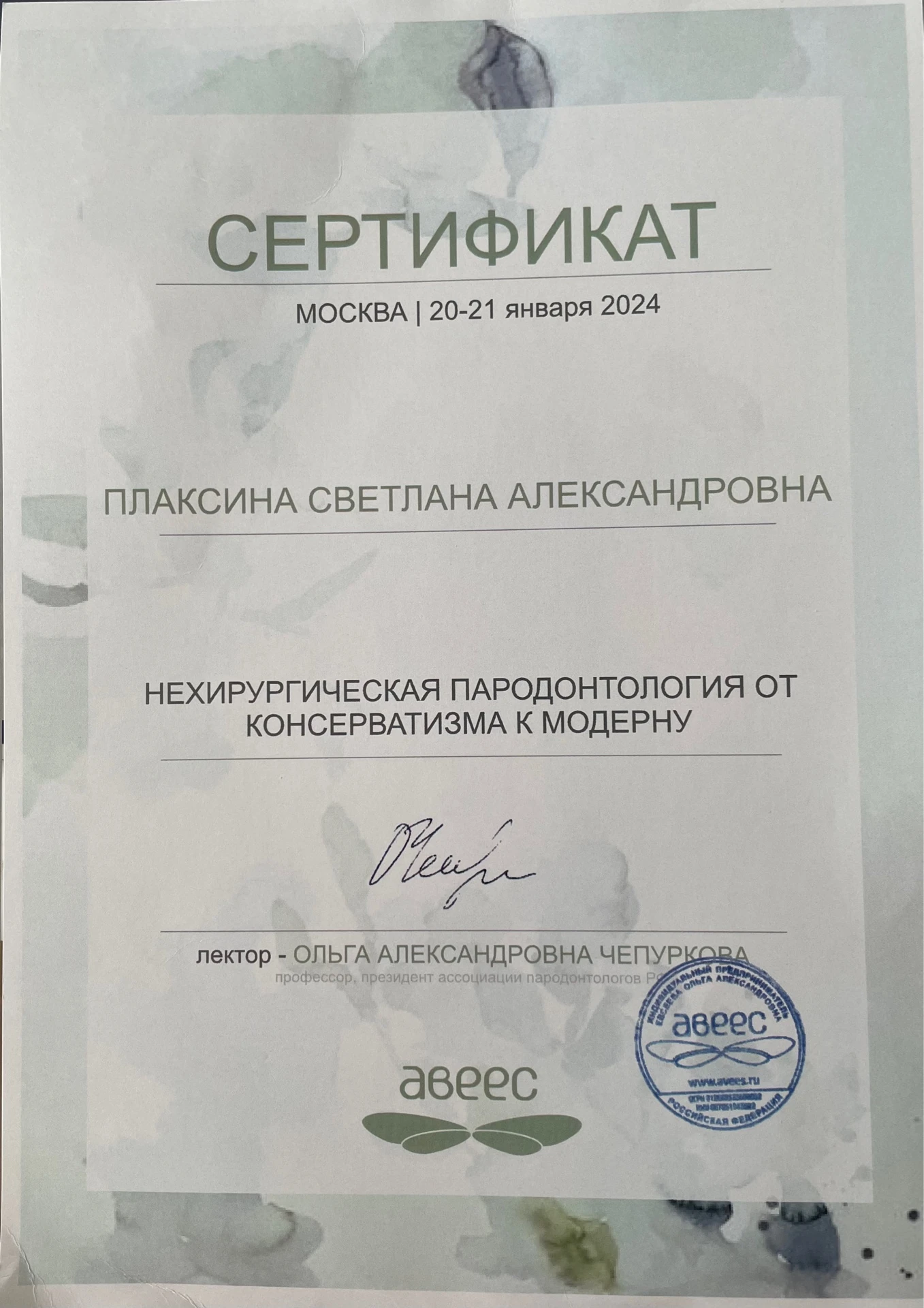 Репина Светлана Александровна